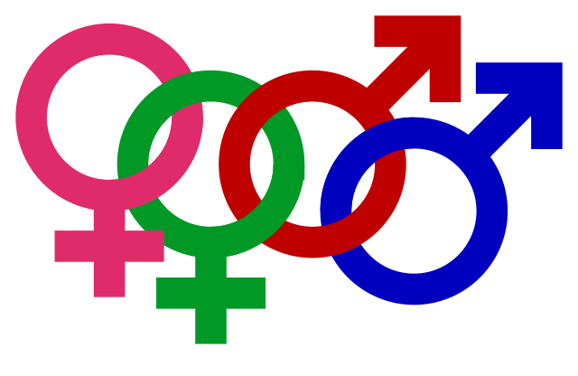 Non Binary Lesbian Profile Circle | TikTok