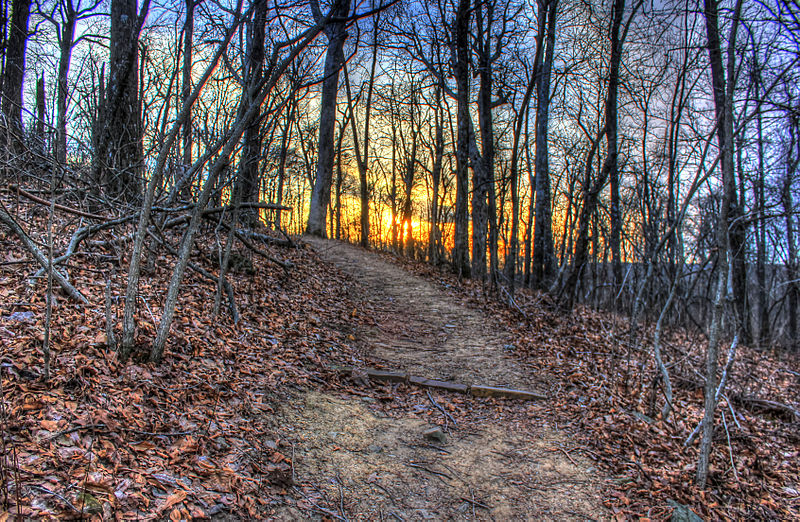 File:Gfp-arkansas-mount-magazine-state-park-sunset-behind-trees.jpg