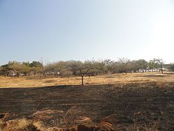 Gir Forests23, Gujarat, India.jpg