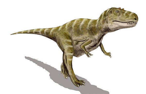 Gorgosaurus BW.jpg