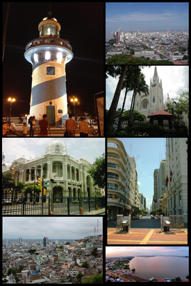 Guayaquil montage.png
