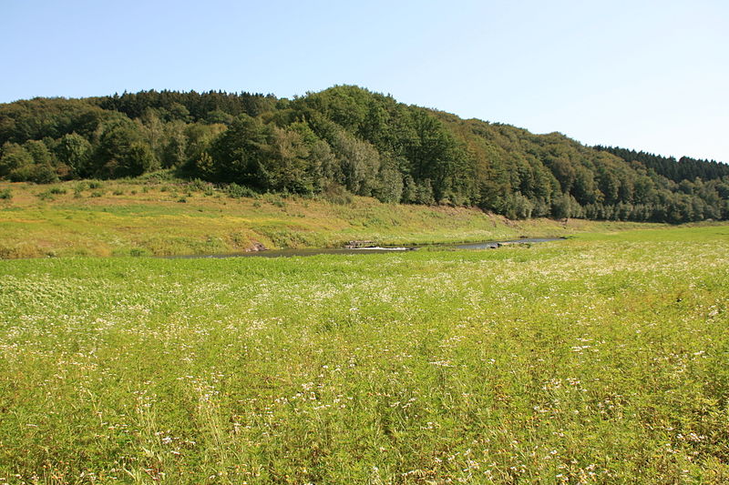 File:Hückeswagen Hammerstein - Wuppertalsperre 02 ies.jpg