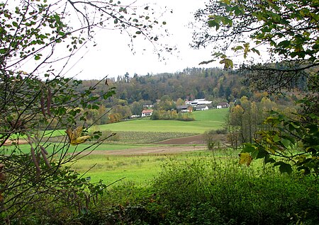 Haimburg (Berg NM)