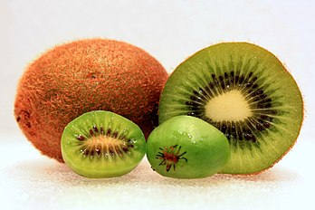 size comparison to normal Actinidia deliciosa-kiwifruit