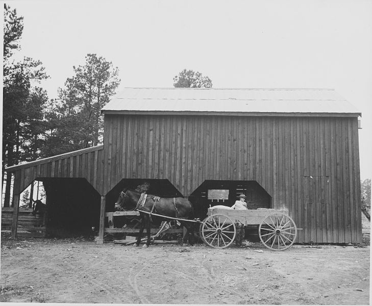 File:Harmony Community, Putnam County, Georgia.... A "Briar Patch" farmer unloading purchased grain at hi . . . - NARA - 521441.jpg