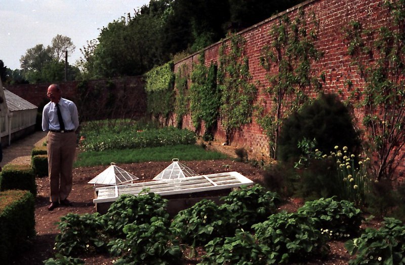 File:Harry Dodson in the Victorian Kitchen Garden - geograph.org.uk - 588009.jpg