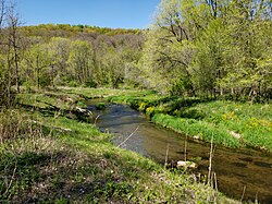 Hay Creek Mississippi River tributary.jpg