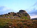 An alternative view of the tor