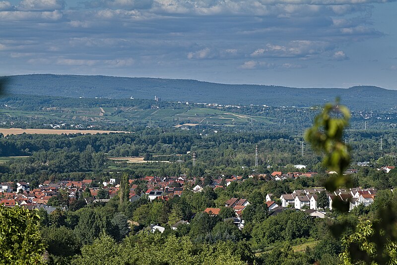 File:Heidesheim am Rhein from NSG Am Rothen Sand 2022-07-27 03.jpg