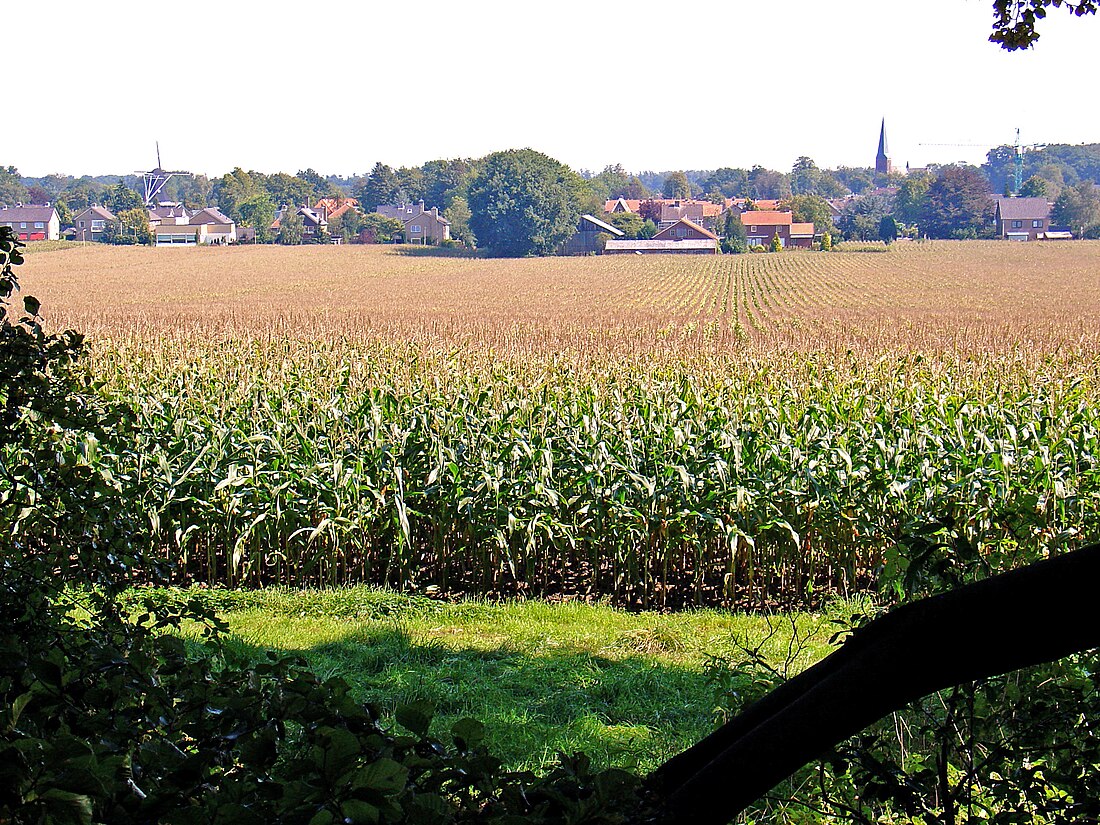 Hellendoorn (gemeente)