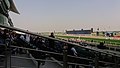 Horse Racing World Cup, Dubai.jpg