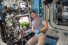 ISS-65 Thomas Pesquet cleans up plant debris (1).jpg