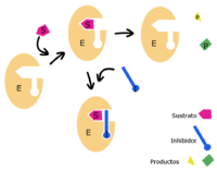 Inhibición enzimática: inhibición incompetitiva