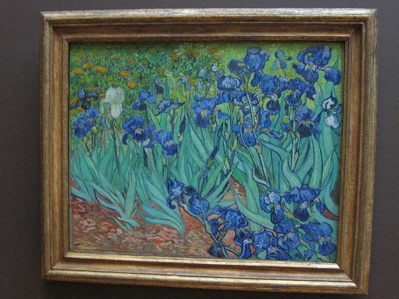 irises van gogh getty