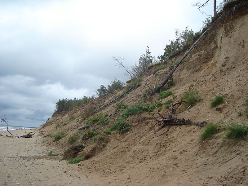 File:Jūrkalnes pludmale - mikroskops - Panoramio.jpg