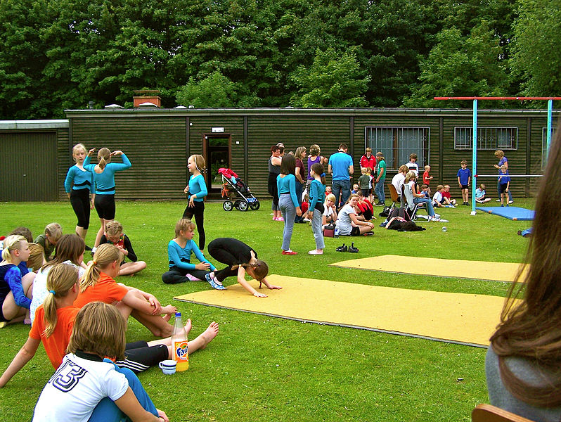 File:Jahn-Bergturnfest 2009 gymnastics.jpg