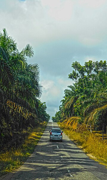 File:Jalan Lintas NESS, Muaro Jambi, JA (13).jpg