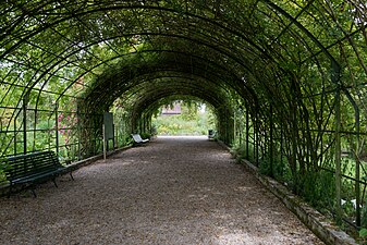 Roseraie du jardin botanique de Marnay-sur-Seine.