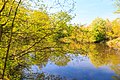 Pohled na Jarkovského jezero