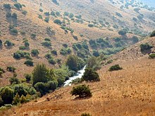 Jordan River near Kfar Hanasi.jpg