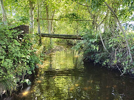 Kagenbach im südlichen Ortsbereich v Kirchkagen (1