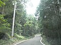 生名鷲ヶ尾 徳島県道146号鶴林寺線 (5)