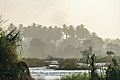 * Nomination Coconut trees in morning mist across the Kaveri river, Srirangapatna, India --Tagooty 04:17, 31 July 2022 (UTC) * Promotion  Support Good quality -- Johann Jaritz 04:25, 31 July 2022 (UTC)