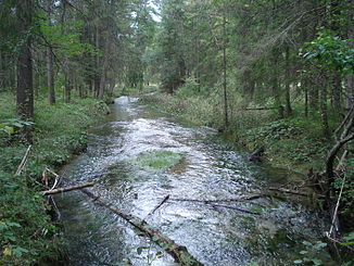 The Kohlbach near the Große Ammerquellen