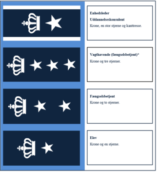 Direktoratet For Kriminalforsorgen: Central ledelse af Kriminalforsorgen