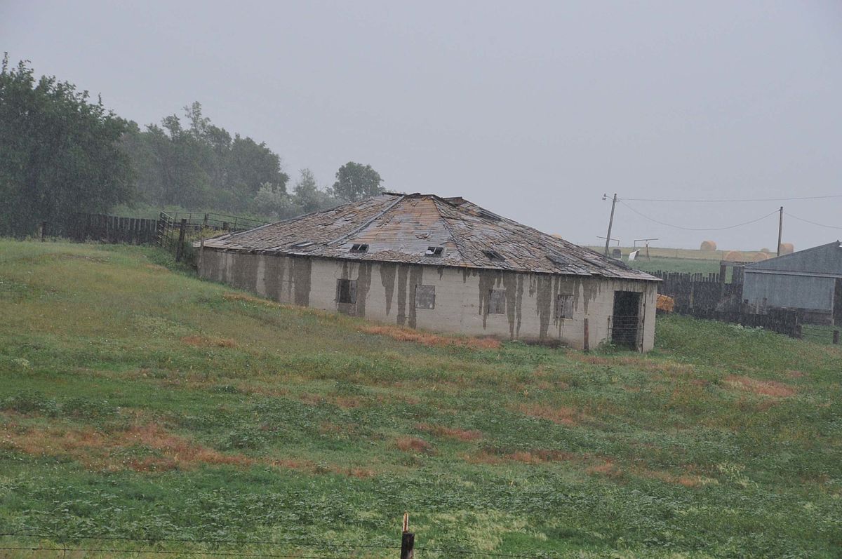 Laurens Polygonal Hog House