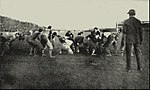 Thumbnail for 1896 college football season