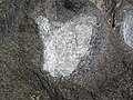 Lamprophyre with xenolith (Dubreuilville Dike, Archean; Route 17 roadcut southeast of Princess Lake & north of Wawa, Ontario, Canada) 73 (48305423302).jpg