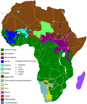 Langues En Afrique: Langues ou dialectes?, Langues par origine, Situation sociale et politique