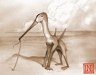 <i>Leptostomia</i> Genus of azhdarchoid pterosaur from the Cretaceous period