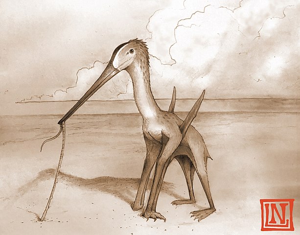 Pterosaurs - ScienceDirect