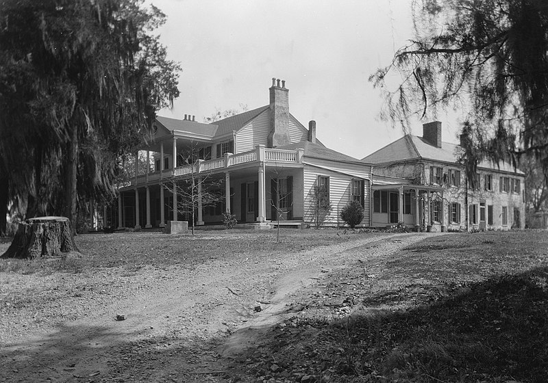 File:Linden in Natchez.jpg