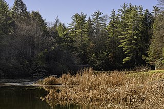 Little Beaver State Park State Park in Raleigh County, West Virginia