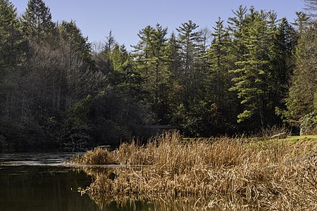 Little Beaver State Park WV