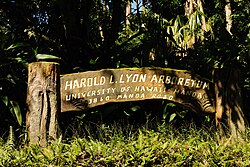 Arboretum im. Harolda L. Lyona