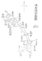 2024年1月11日 (木) 06:46時点における版のサムネイル