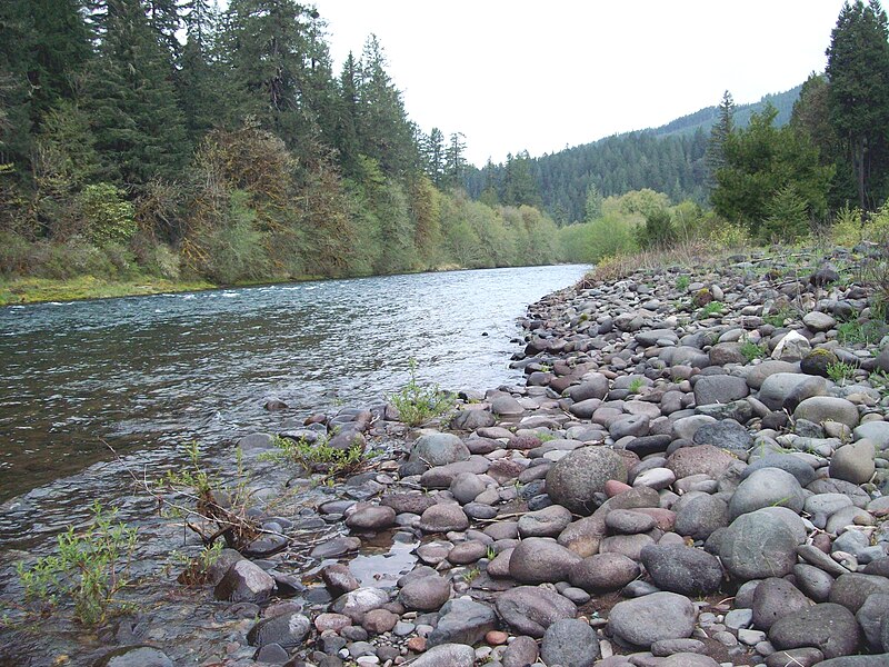 File:McKenzie River at Nimrod, OR.jpg