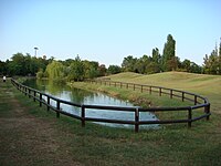 Laghetto artificiale all'interno del Parco delle mondine.