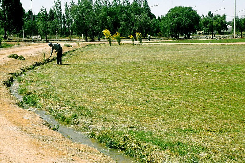 File:Mendoza 1994 05.jpg