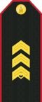 Mongolische Armee-SSG-Dienst