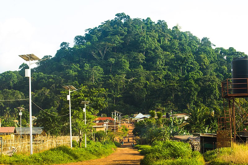 File:Monts Nimba 05.jpg