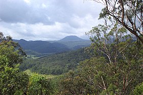 Mount Warrawalong.jpg