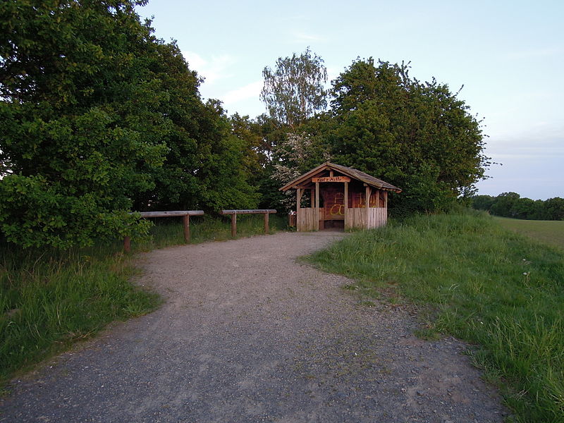 File:Muldetalbahnradroute Karls Hütte mit gelber Penisverzierung im Mai 2015.jpg
