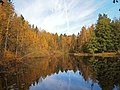 Pond Myllylampi in Jyväskylä (Lokakuu 2014 Suomessa) (1 October 2014)