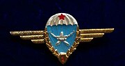 Hungarian People's Army Gold Laurel 1st Class parachutist badge, 1970s