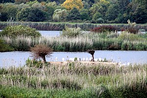 NSG-00329.01 Garstadt bird sanctuary.JPG